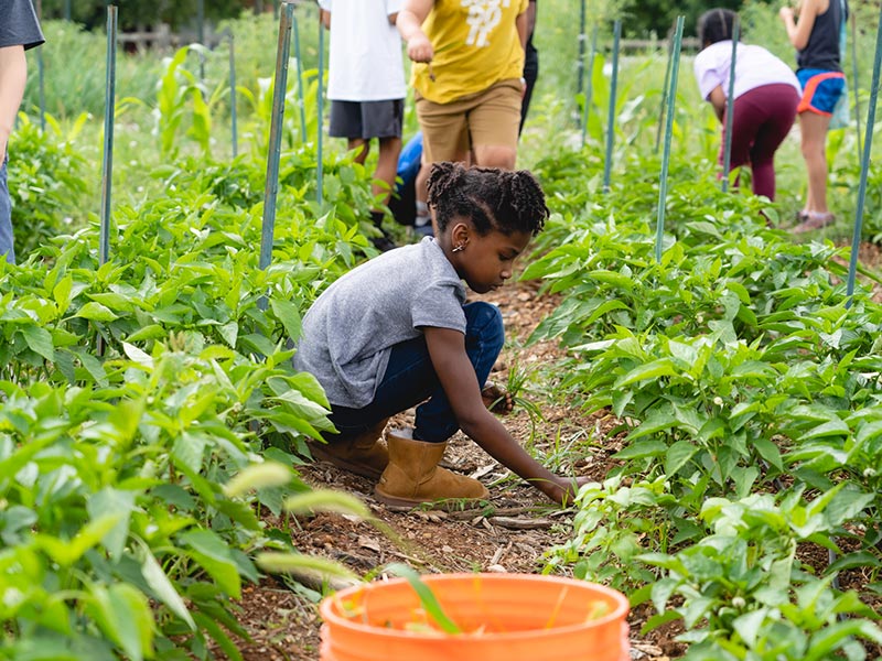 Jones Valley Teaching Farm, an EBSCO Community Impact grant recipient